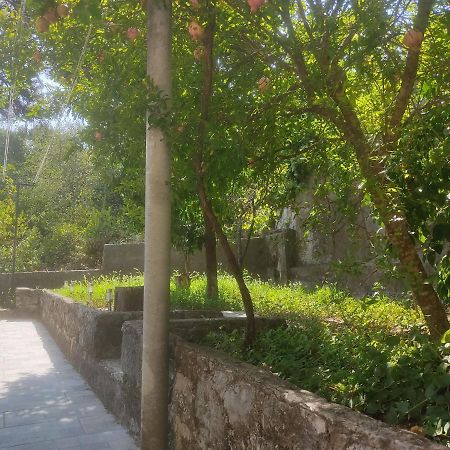 Apartman Arbanas Ragusa Esterno foto