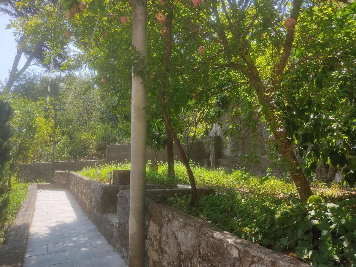 Apartman Arbanas Ragusa Esterno foto